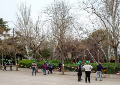 Grup de gent fent un curs de poda d’arbres en un parc