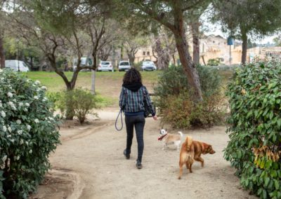 Noia passejant gossos en un parc
